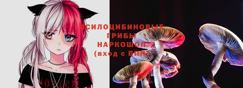 Псилоцибиновые грибы Magic Shrooms  Усолье 